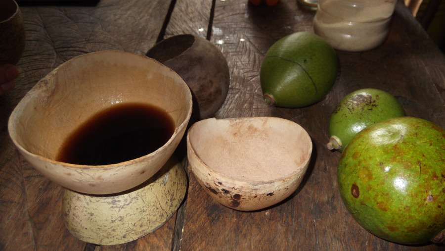 Soloy-Panama-native-dishes-of-Elmon-family-at-lunch-withFlash_2-6-2013-BLOGGED_7410